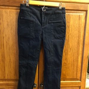 Loft Outlet Navy Skinny Dress Pants